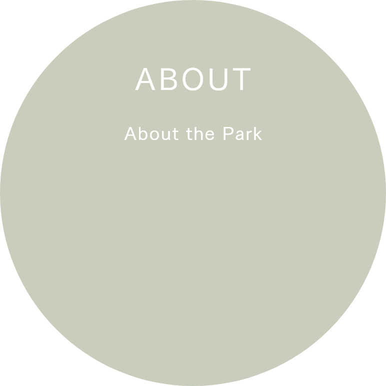 關於公園