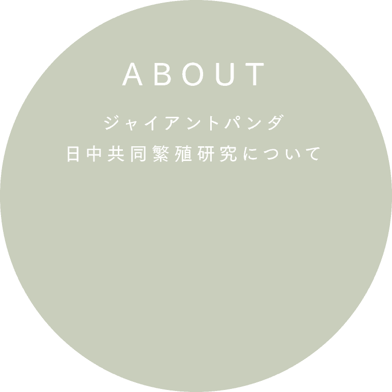 關於