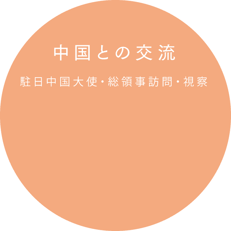 中國大使和總領事訪問和視察