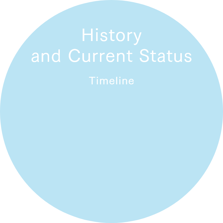 Timeline