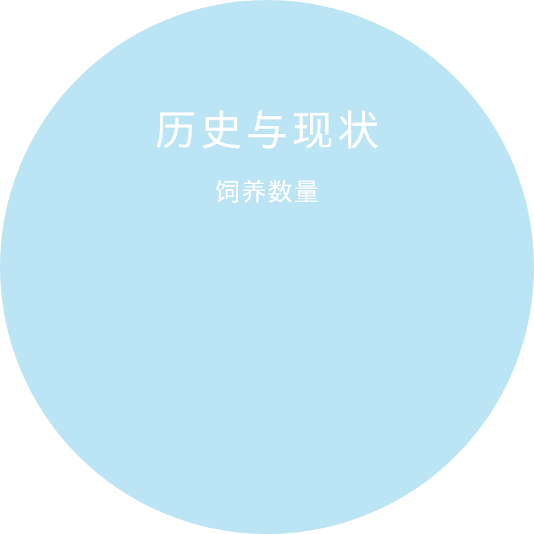 歷史。