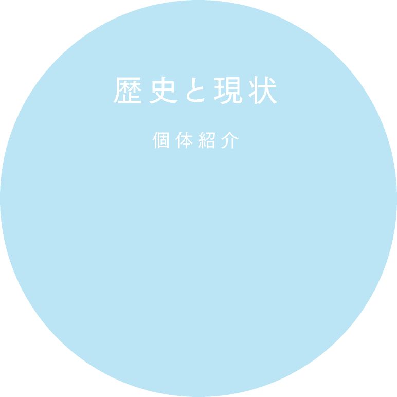 個人