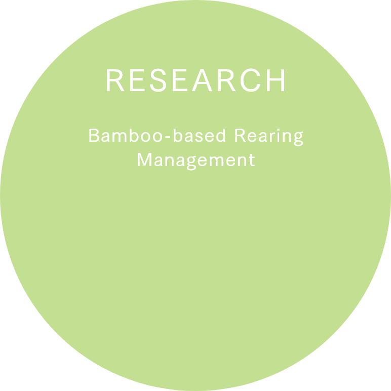 Bamboo-based Rearing Management