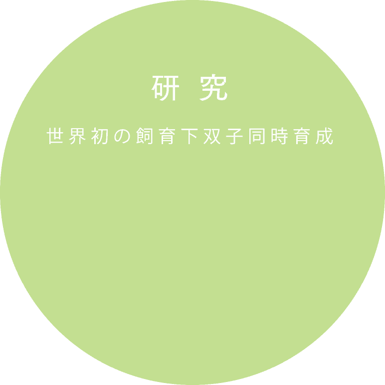 世界上第一對同時人工繁殖的雙胞胎