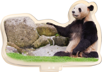 パンダのアクリルスタンド 永浜1