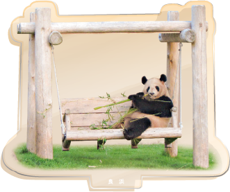 パンダのアクリルスタンド 良浜1