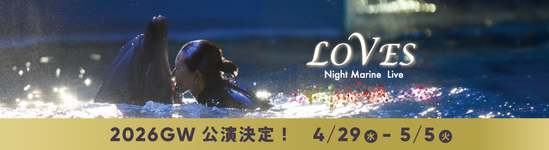 パークの楽しみ方