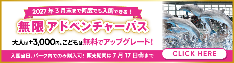 無限アドベンチャーパス
