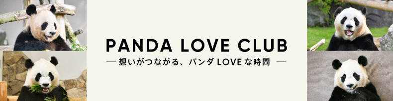 PANDA LOVE CLUB