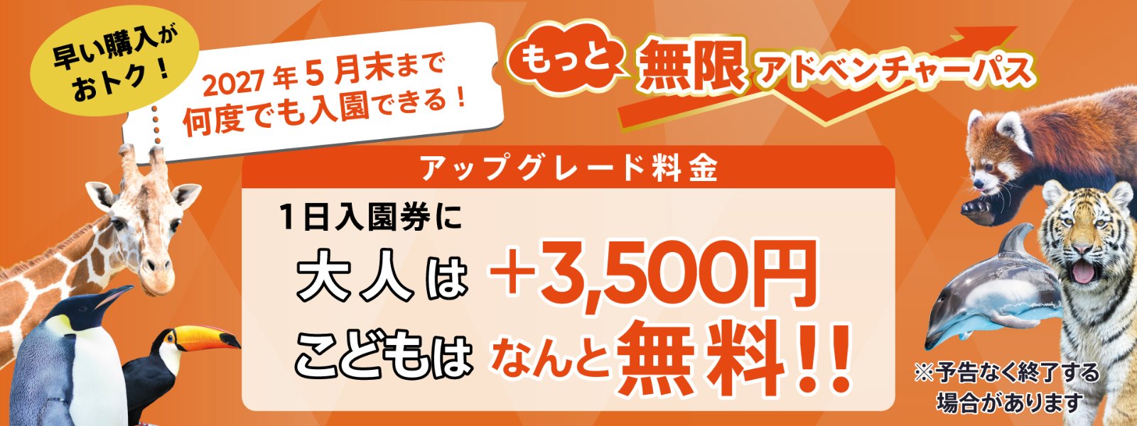 キャンペーン画像