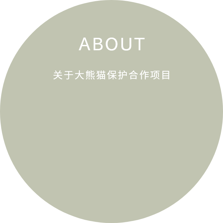 关于