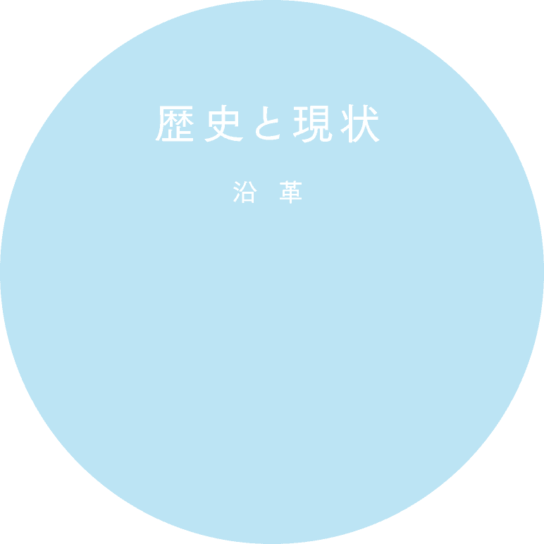 历史