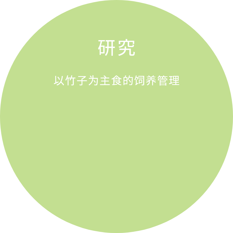 将竹笋作为主食