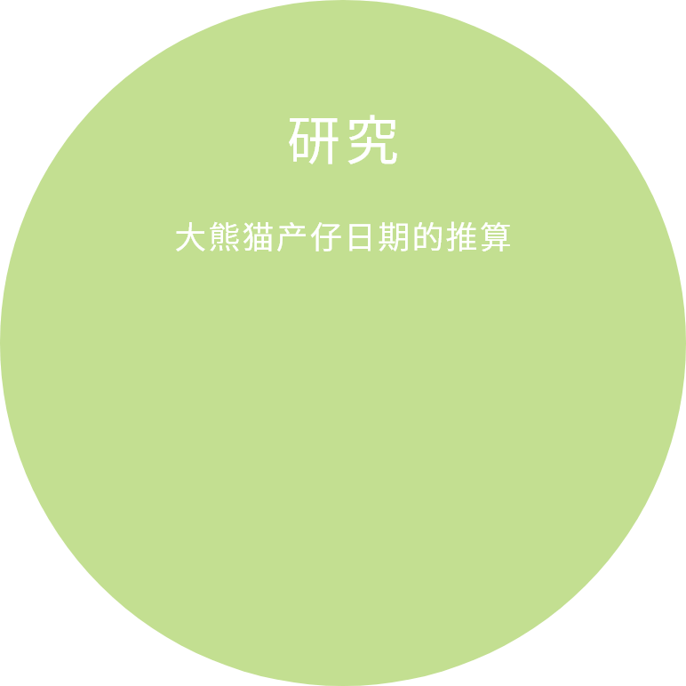 大熊猫产仔日期的推算