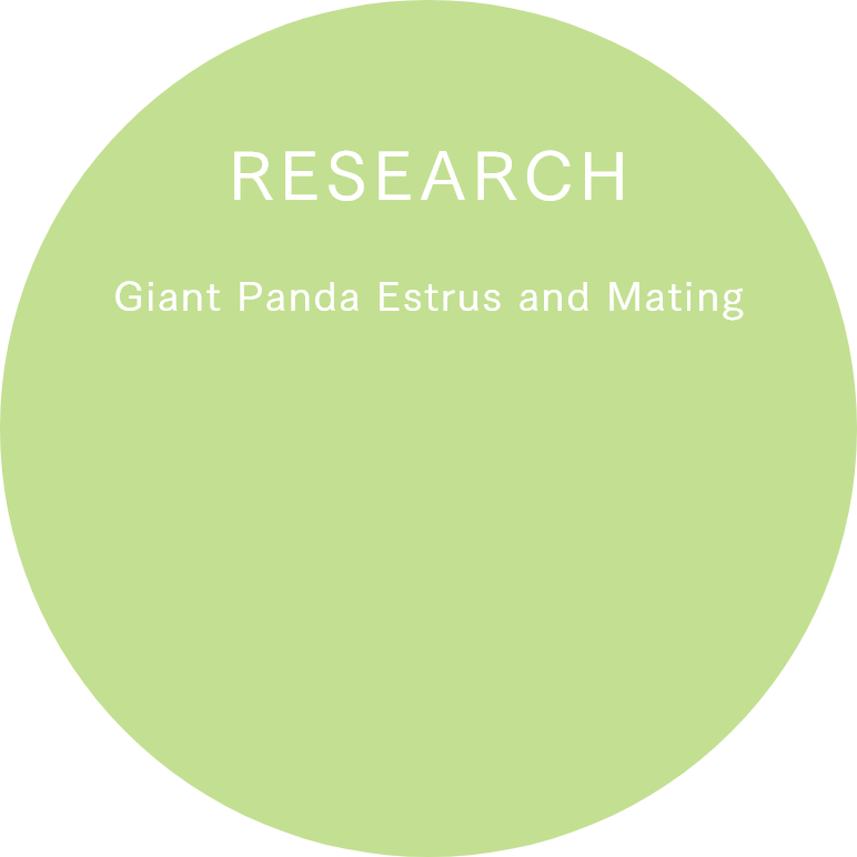 Giant Panda Estrus and Mating