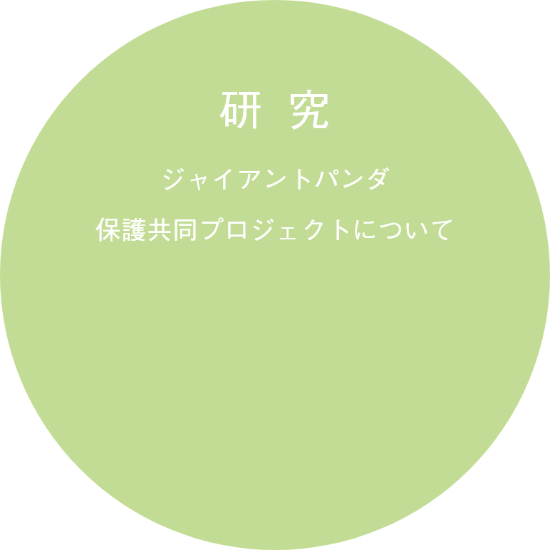 研究