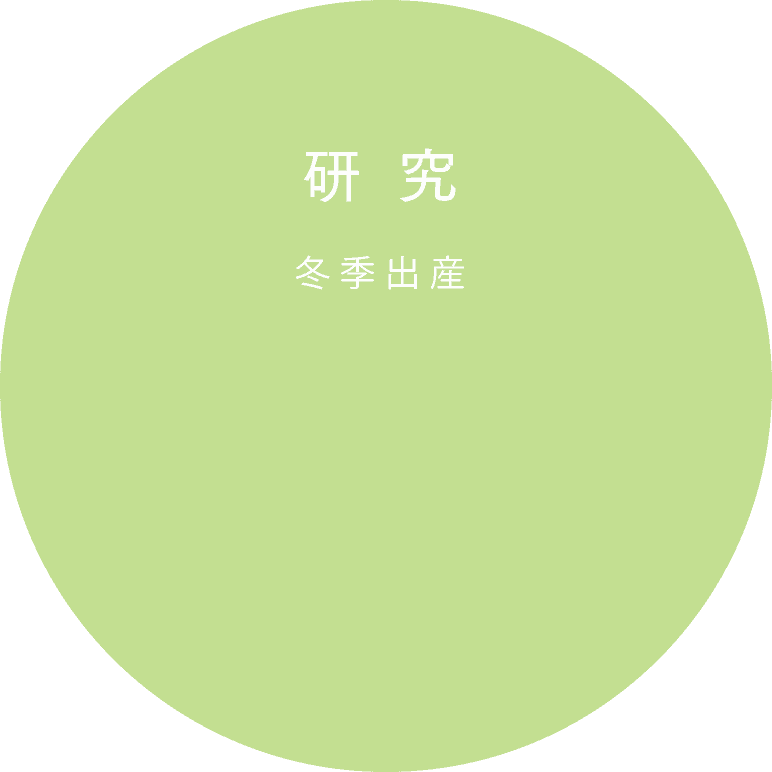 冬季交货
